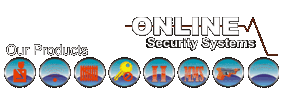 Online Security Systems